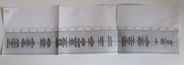 The printout of the sound waves