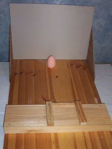 egg jig setup