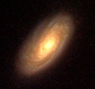 A Galaxy