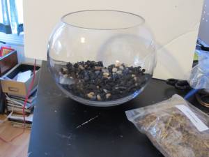 Second layer of the terrarium