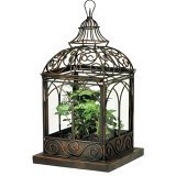 victorian style modern terrarium
