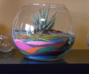 Sand Terrarium - Jonas