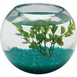 1/2-Gallon Glass Bowl 