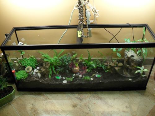 A Big Terrarium created by Badia A.