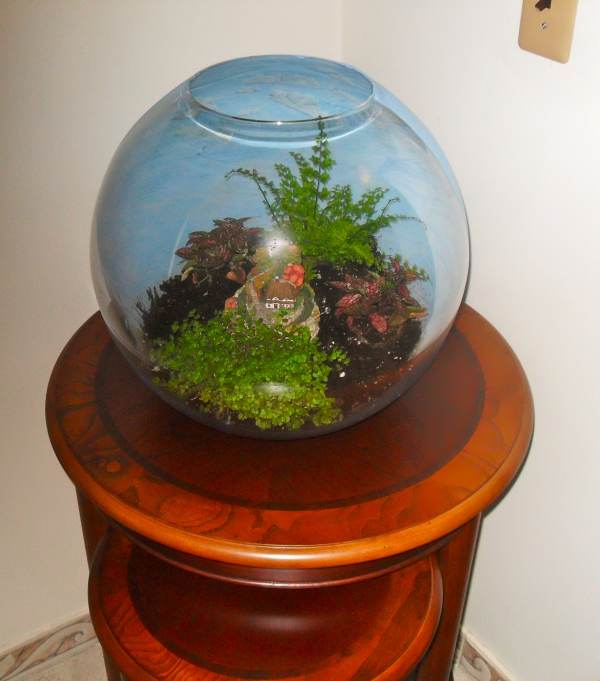 An artistic terrarium