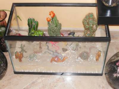 Big Glass Desert Terrarium