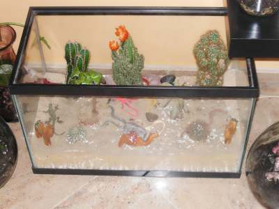 Big Glass Desert Terrarium