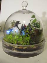 The Brave Terrarium