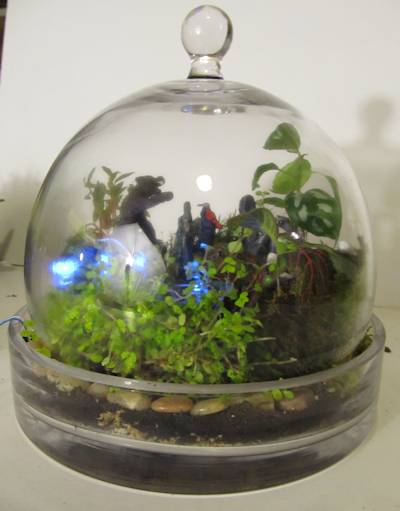 The Brave Terrarium