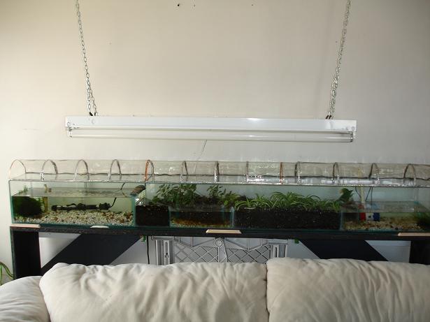 A custom made long terrarium