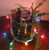 Christmas Terrarium 