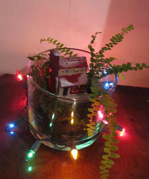 The Christmas Terrarium