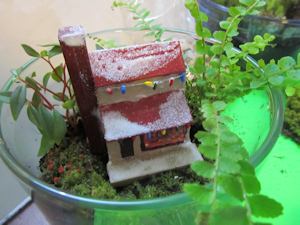 put the house into the terrarium