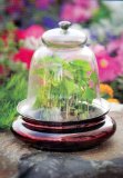 Victorian Cloche Terrarium