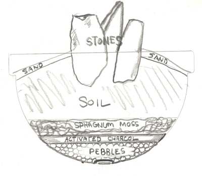 The Desert Terrarium layout