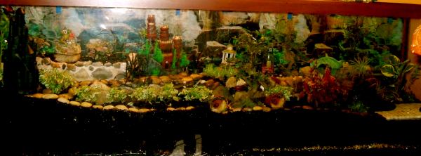The fantasy terrarium