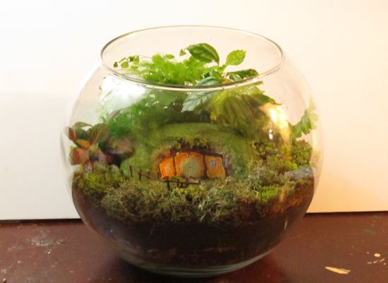 Make a hobbit terrarium