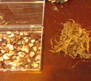 Put a layer of pebbles