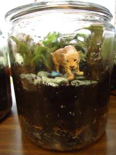 Miniature in a terrarium