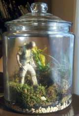 The Lost Terrarium 