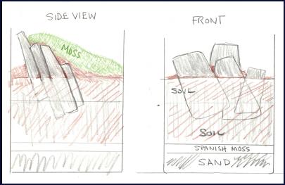 diagram of the terrarium