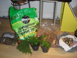 Materials for making a vivarium