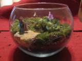 moss terrarium