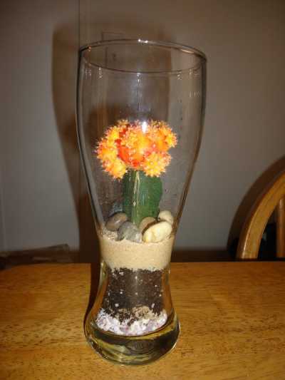 Terrarium in a glass