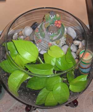 Terrarium in a glass bowl