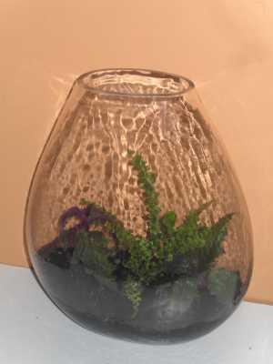 Vase Terrarium