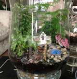 Rochelle's terrariums 