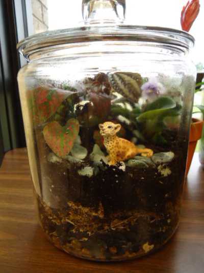 A terrarium with a miniature figure