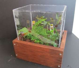 home made terrarium