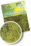 terrarium moss