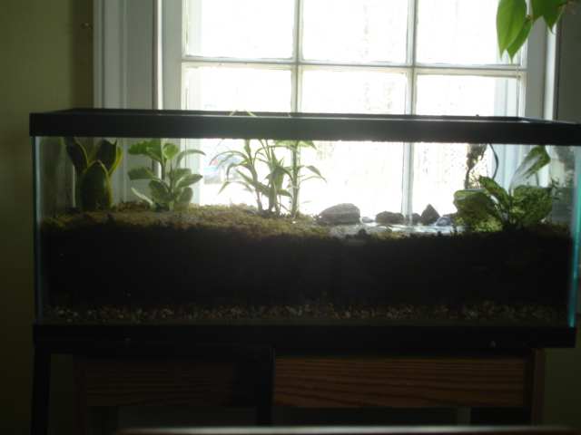 Side view of the terrarium