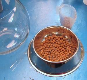 don't fill your container too much- remember to leave room for the plant to have air at the top
