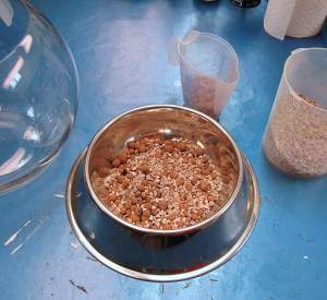 Gravel and Hydroton drainage layer.