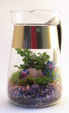 Coffee Pot Terrarium