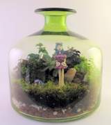 Thyrza terrarium