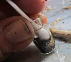 clean the glass with a q tip