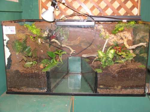 A terrarium