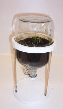 The Upside Down terrarium