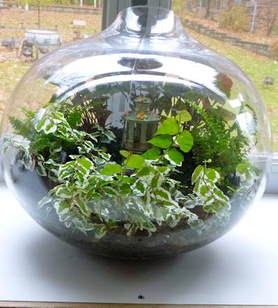 Glass Gourd Terrarium