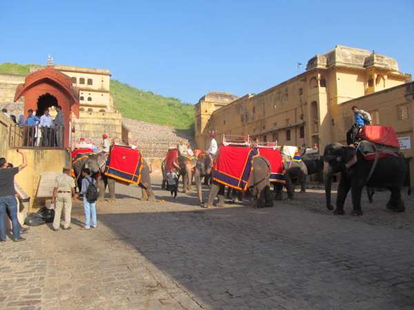 Elephants in the courtyard