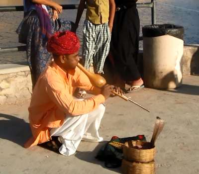 A Snake Charmer